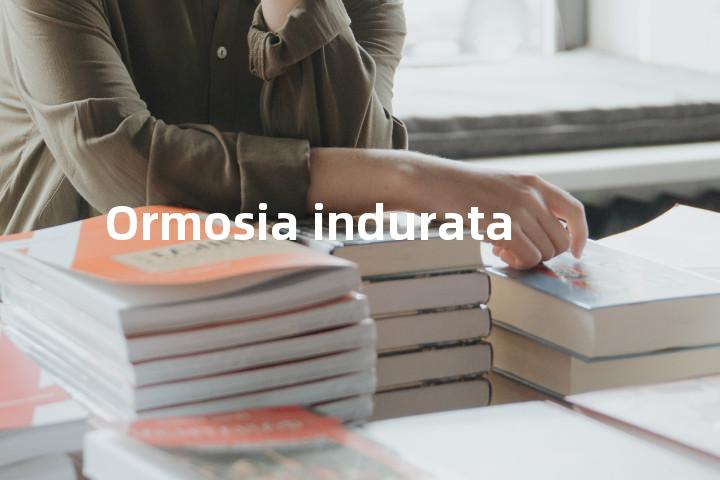Ormosia indurata单词图解，单词释义场景配图