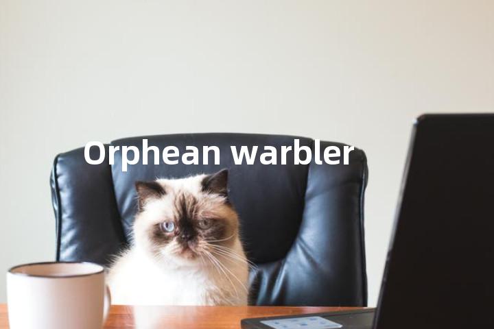 Orphean warbler单词图解，单词释义场景配图