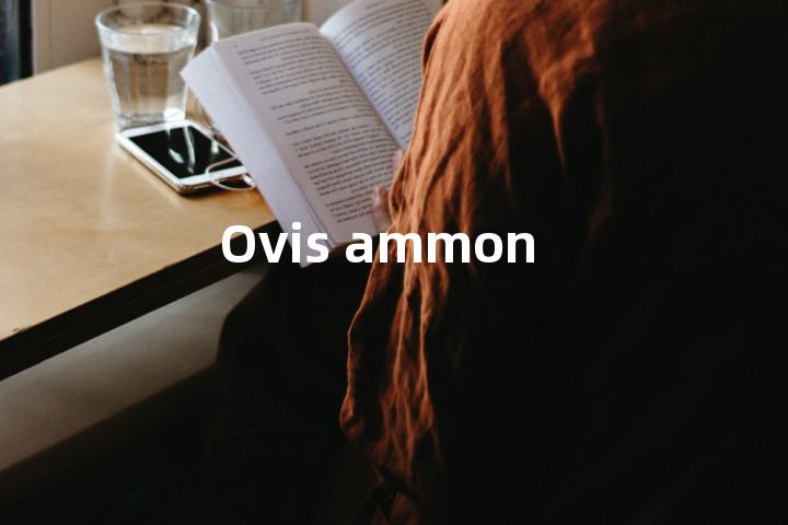 Ovis ammon单词图解，单词释义场景配图