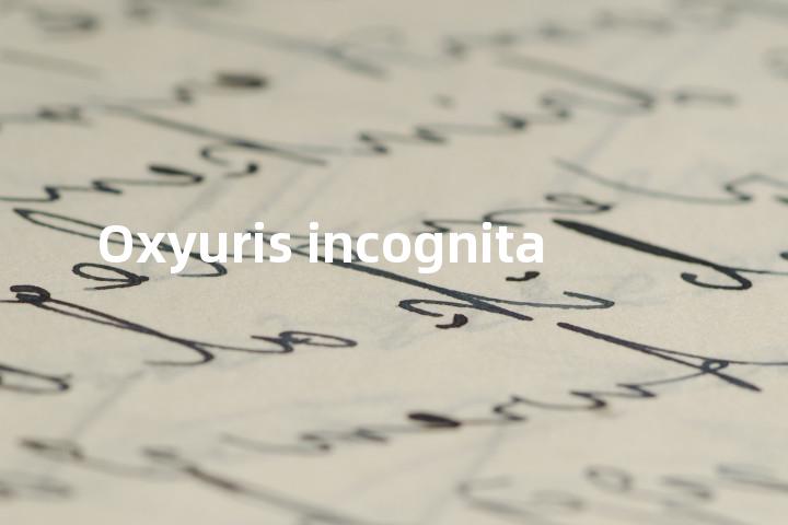 Oxyuris incognita单词图解，单词释义场景配图
