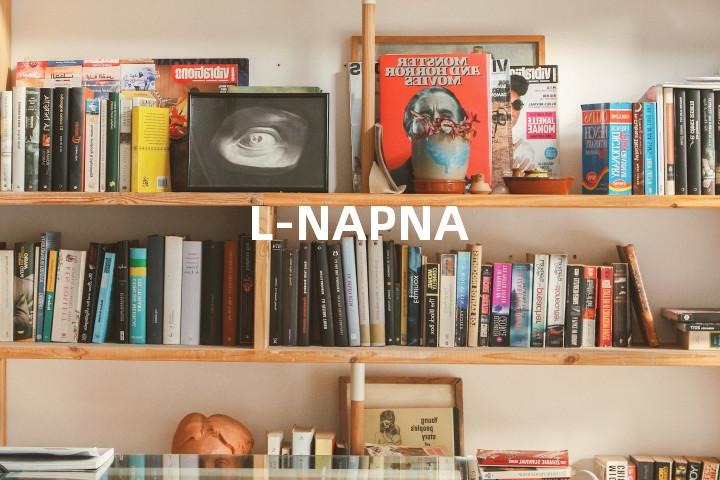 L-NAPNA单词图解，单词释义场景配图