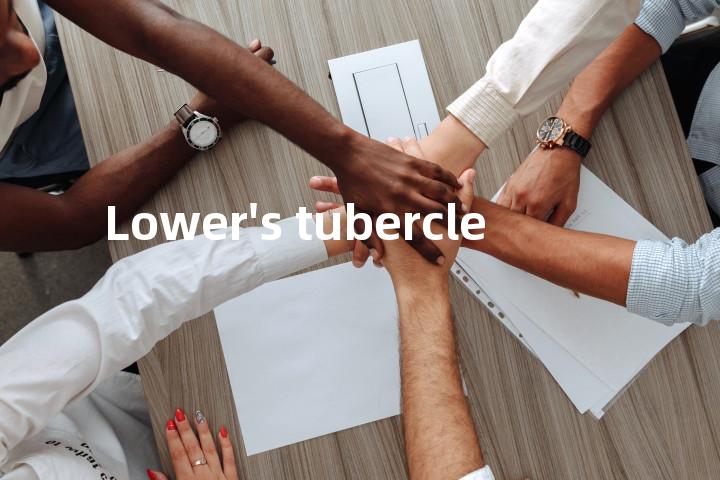 Lower's tubercle单词图解，单词释义场景配图