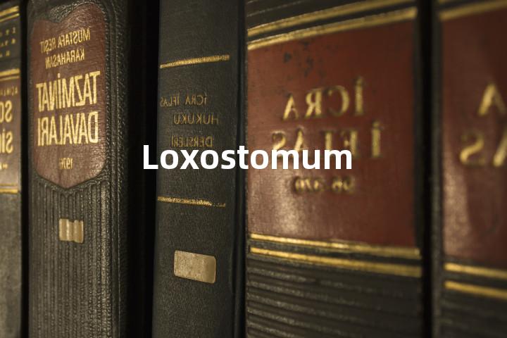 Loxostomum单词图解，单词释义场景配图