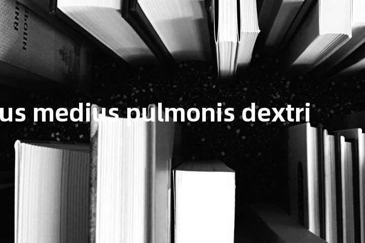 Lobus medius pulmonis dextri单词图解，单词释义场景配图