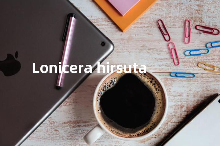 Lonicera hirsuta单词图解，单词释义场景配图