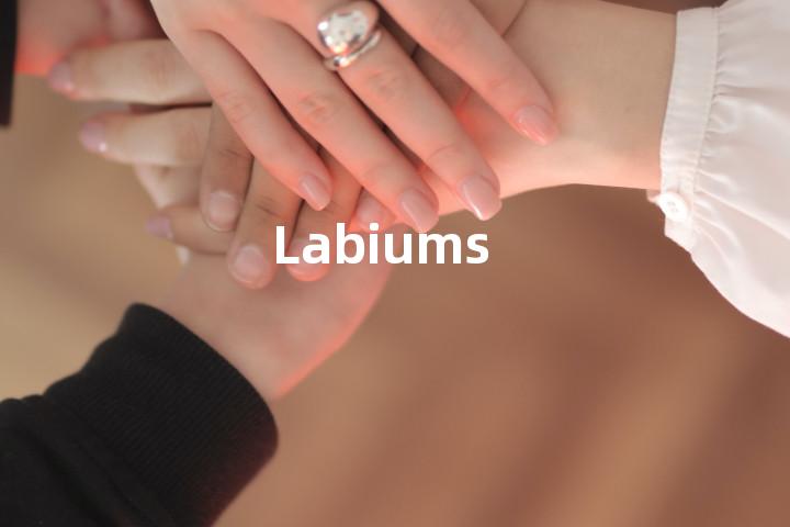 Labiums