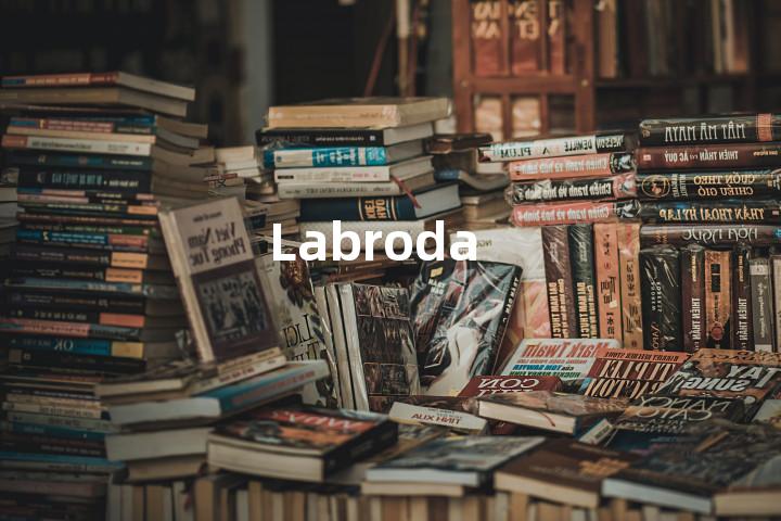 Labroda单词图解，单词释义场景配图
