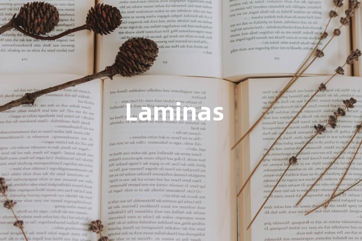 Laminas