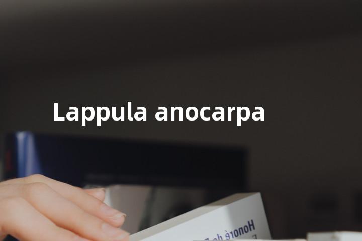 Lappula anocarpa单词图解，单词释义场景配图