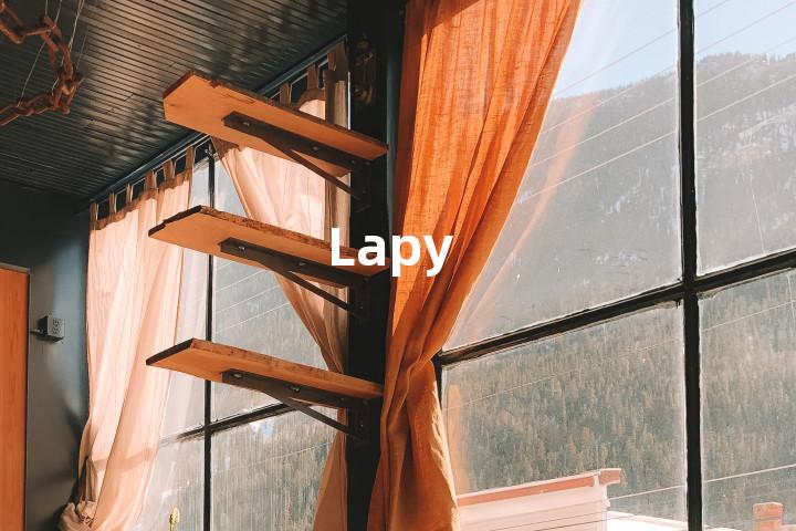 Lapy单词图解，单词释义场景配图