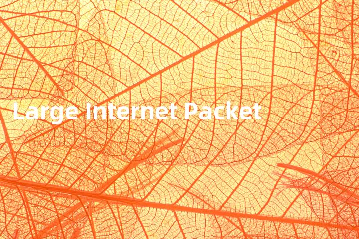 Large Internet Packet单词图解，单词释义场景配图