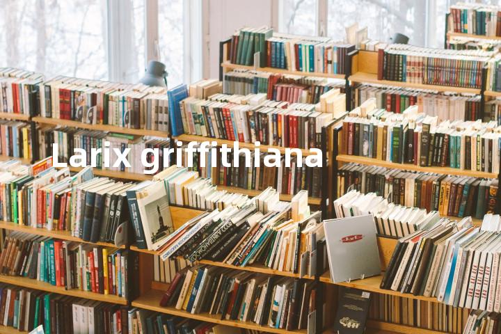 Larix griffithiana单词图解，单词释义场景配图