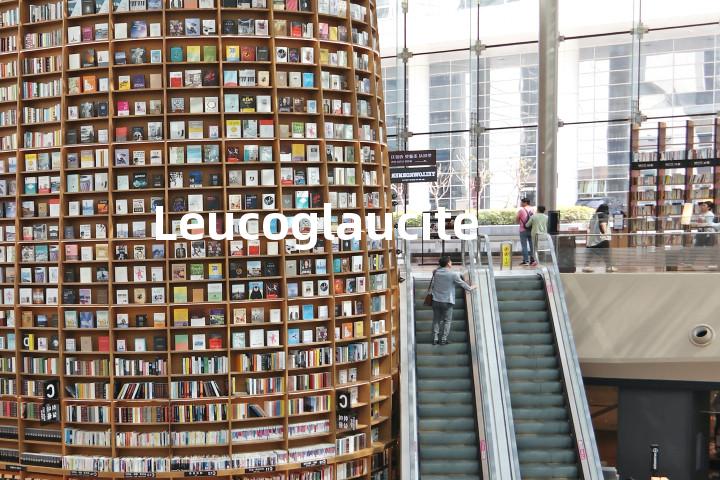 Leucoglaucite单词图解，单词释义场景配图