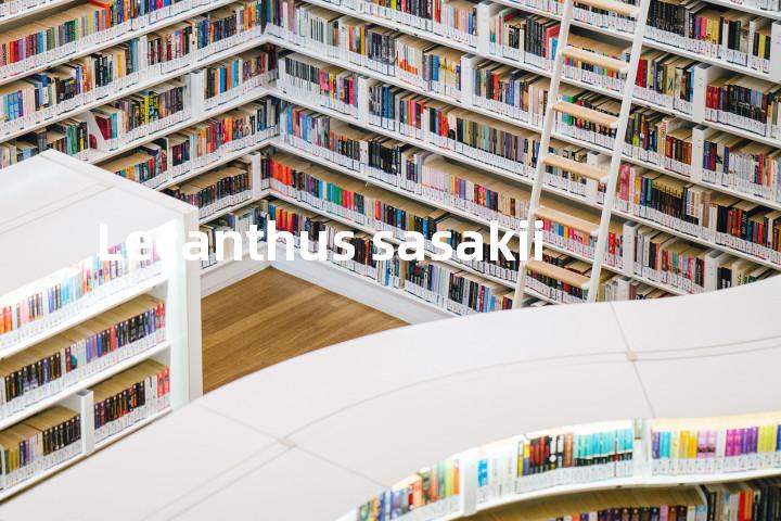 Lecanthus sasakii单词图解，单词释义场景配图