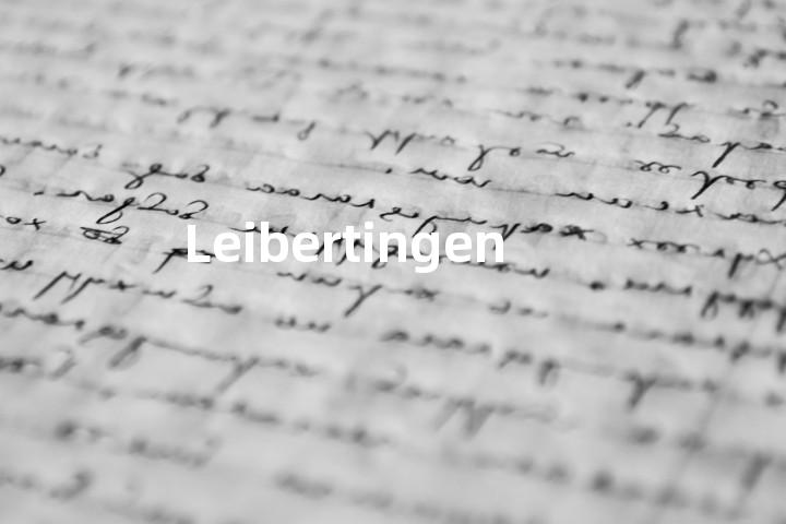 Leibertingen单词图解，单词释义场景配图