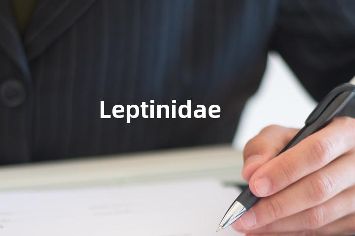Leptinidae单词图解，单词释义场景配图