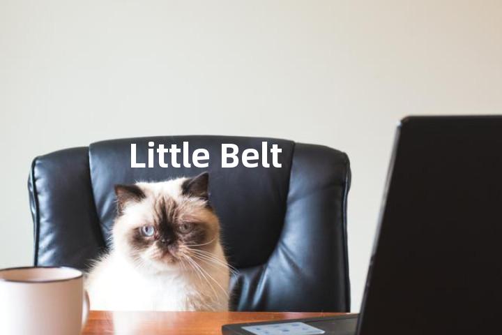 Little Belt单词图解，单词释义场景配图