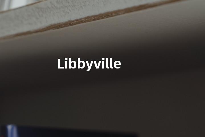 Libbyville单词图解，单词释义场景配图