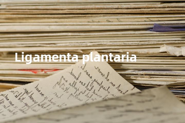 Ligamenta plantaria单词图解，单词释义场景配图