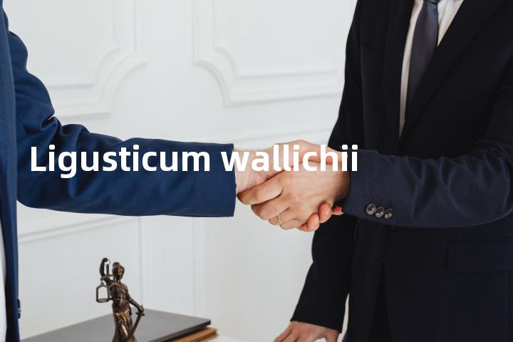 Ligusticum wallichii单词图解，单词释义场景配图