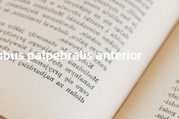 Limbus palpebralis anterior单词图解，单词释义场景配图