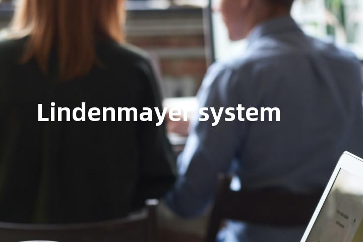 Lindenmayer system单词图解，单词释义场景配图