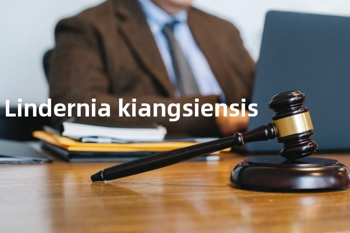 Lindernia kiangsiensis单词图解，单词释义场景配图