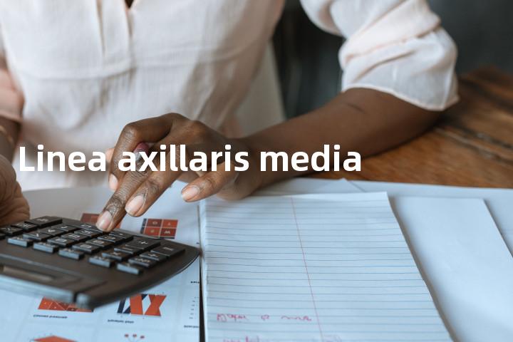 Linea axillaris media单词图解，单词释义场景配图