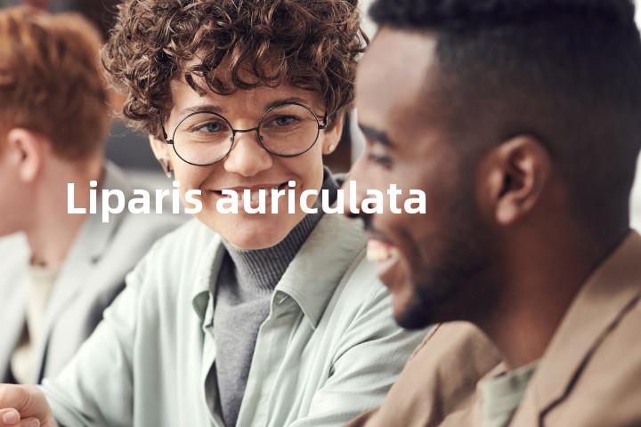 Liparis auriculata单词图解，单词释义场景配图