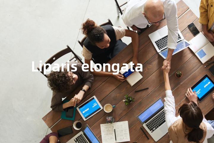 Liparis elongata单词图解，单词释义场景配图