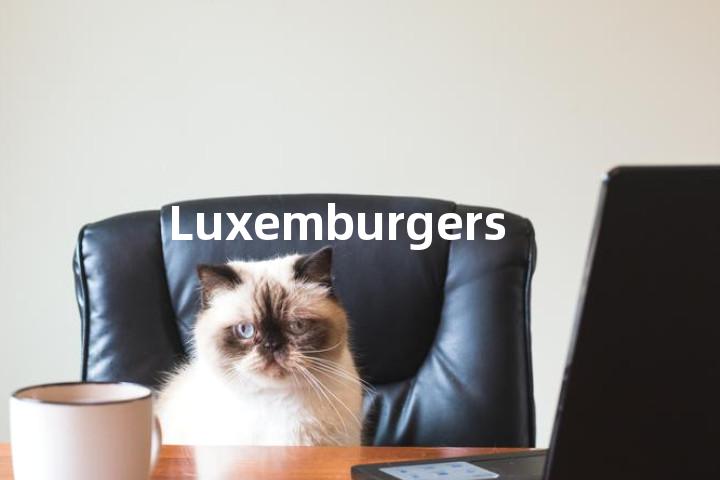 Luxemburgers单词图解，单词释义场景配图