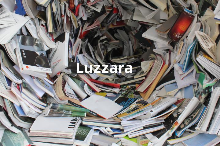 Luzzara单词图解，单词释义场景配图