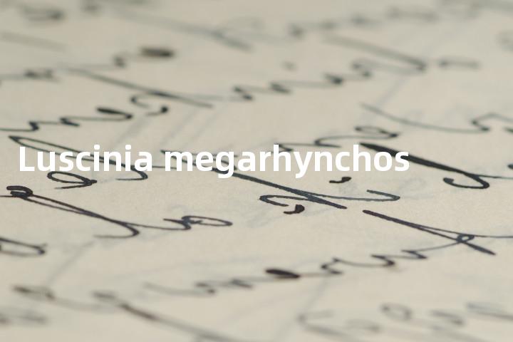 Luscinia megarhynchos单词图解，单词释义场景配图
