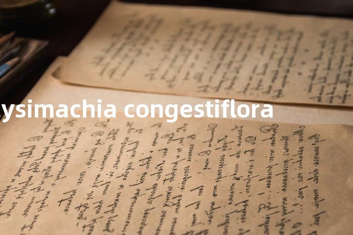 Lysimachia congestiflora单词图解，单词释义场景配图