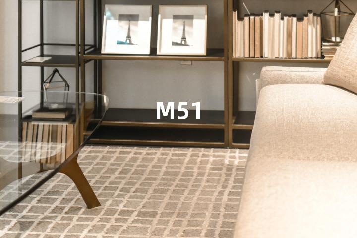 M51单词图解，单词释义场景配图