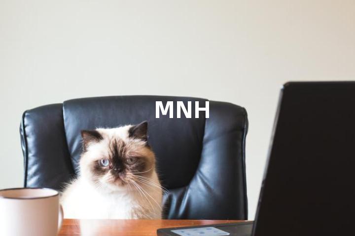 MNH单词图解，单词释义场景配图