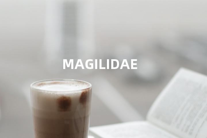 MAGILIDAE单词图解，单词释义场景配图