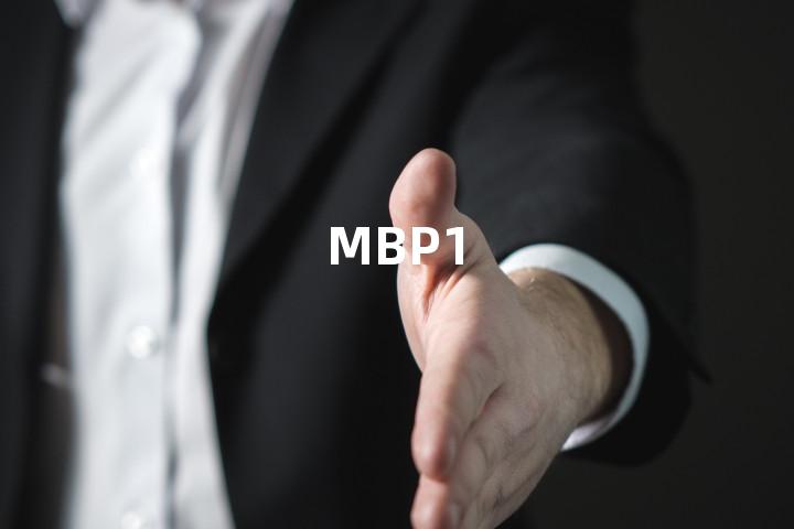 MBP1单词图解，单词释义场景配图