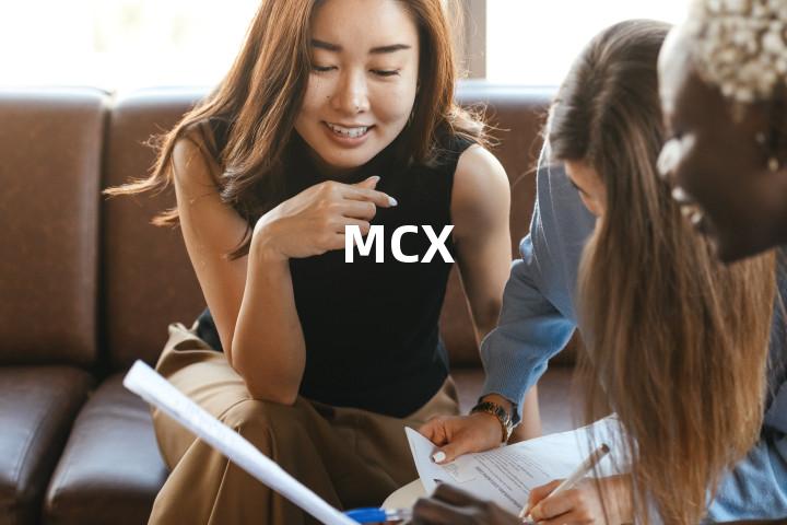 MCX单词图解，单词释义场景配图