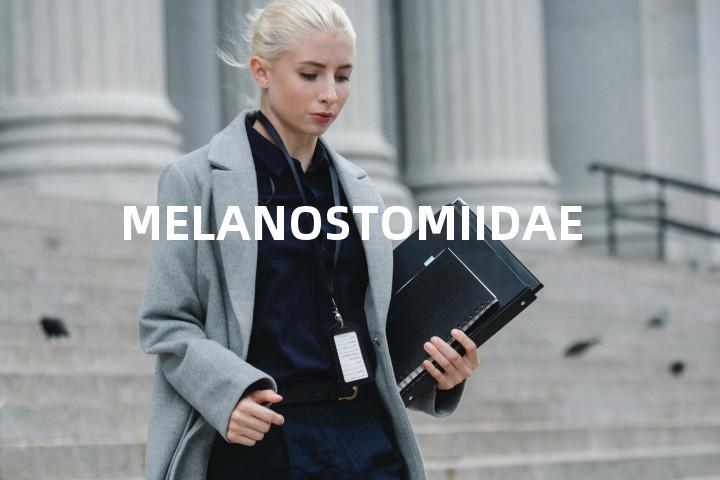 MELANOSTOMIIDAE单词图解，单词释义场景配图