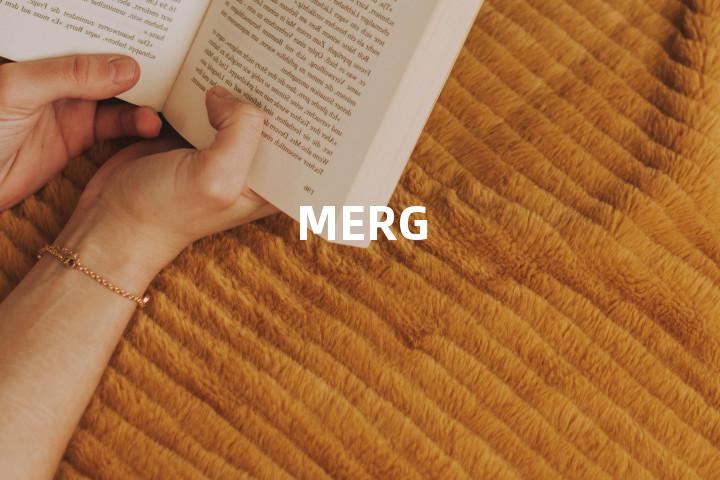 MERG单词图解，单词释义场景配图