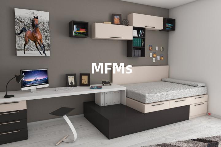 MFMs单词图解，单词释义场景配图