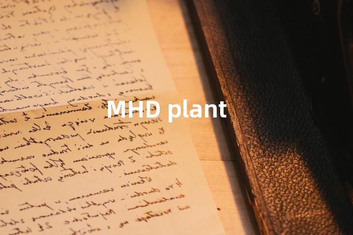 MHD plant单词图解，单词释义场景配图