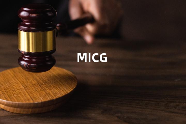 MICG单词图解，单词释义场景配图