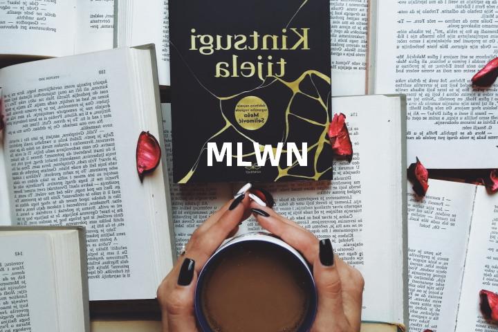 MLWN单词图解，单词释义场景配图