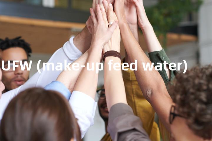 MUFW (make-up feed water)单词图解，单词释义场景配图