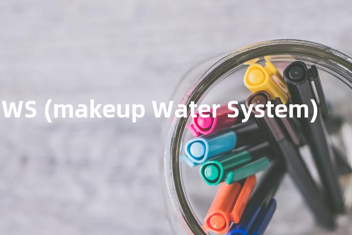 MWS (makeup Water System)单词图解，单词释义场景配图