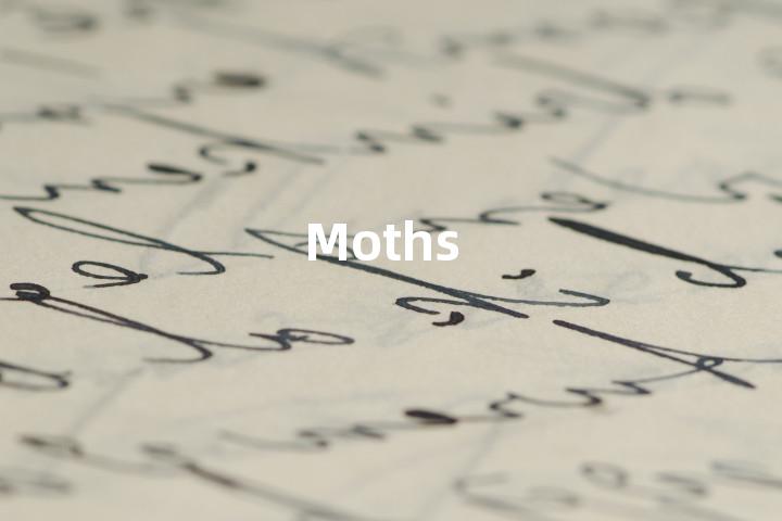 Moths