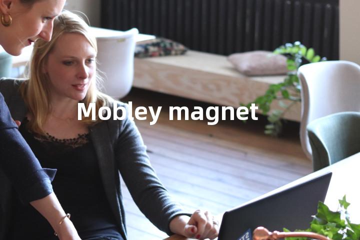 Mobley magnet单词图解，单词释义场景配图