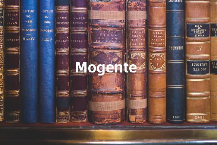 Mogente单词图解，单词释义场景配图